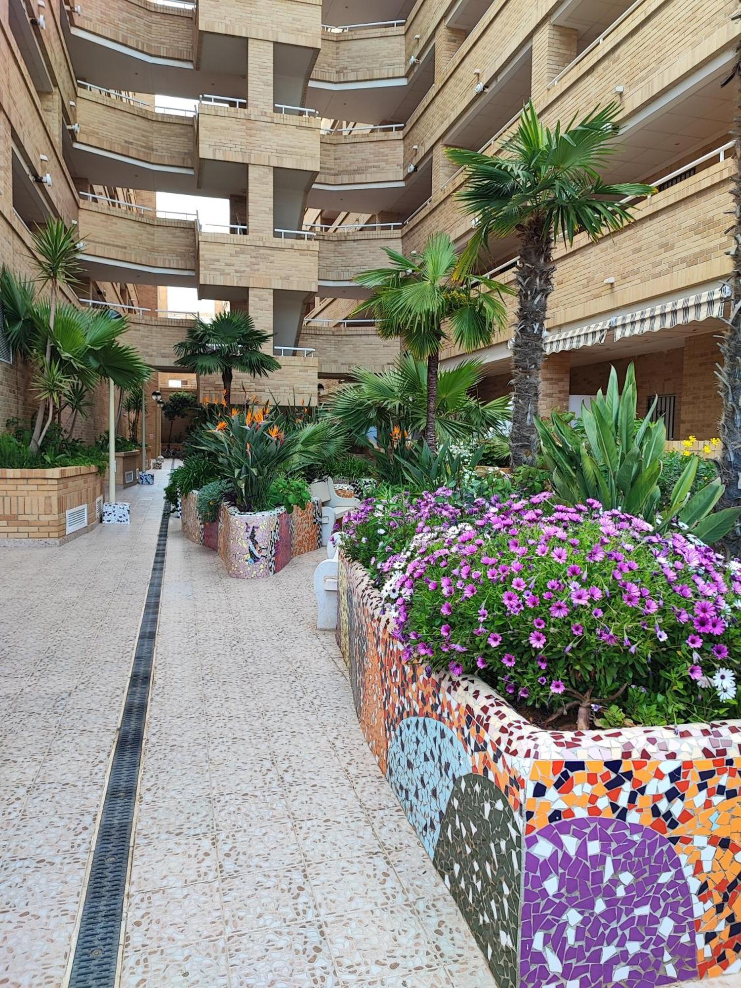 Magic World Apartamento Lyz Y Mar Oropesa del Mar Exteriör bild